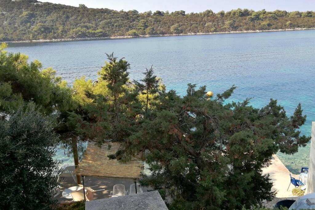 Kuca Za Odmor Zdravka Appartement Blato  Buitenkant foto