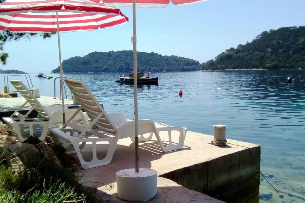 Kuca Za Odmor Zdravka Appartement Blato  Buitenkant foto