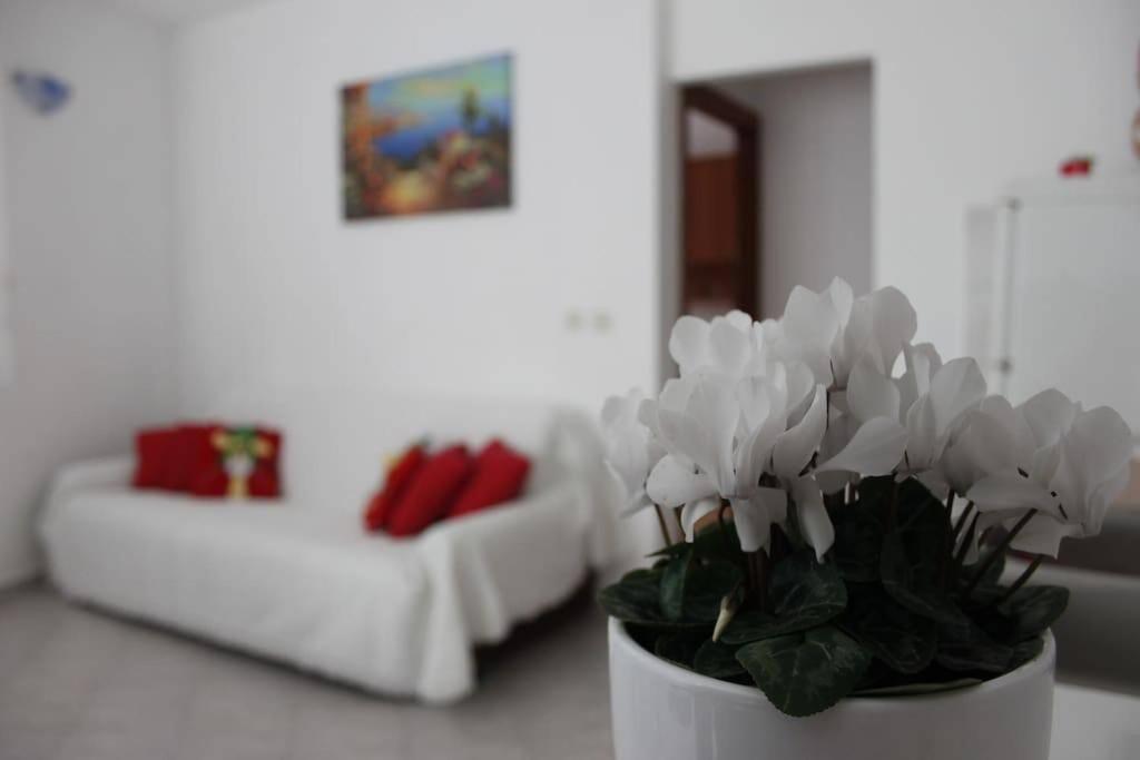 Kuca Za Odmor Zdravka Appartement Blato  Buitenkant foto