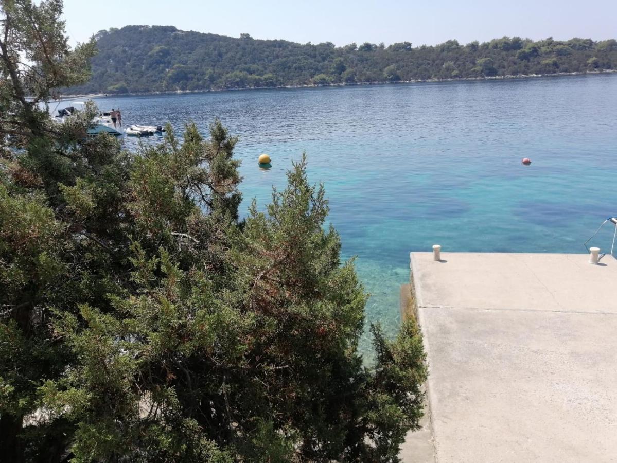 Kuca Za Odmor Zdravka Appartement Blato  Buitenkant foto