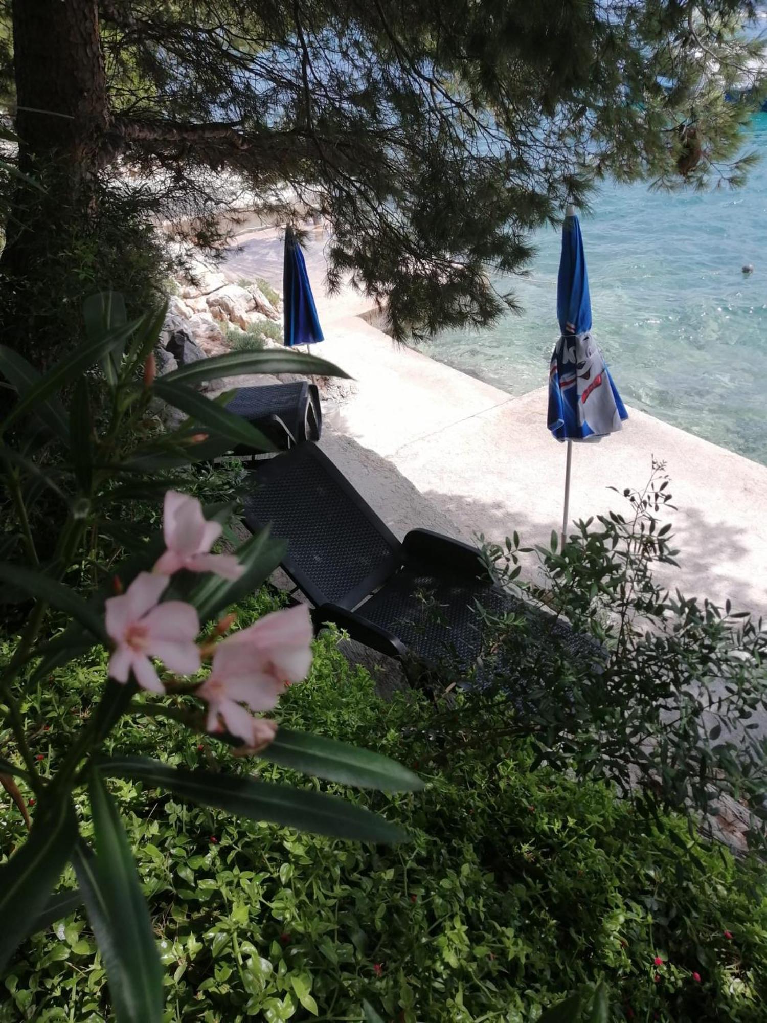 Kuca Za Odmor Zdravka Appartement Blato  Buitenkant foto